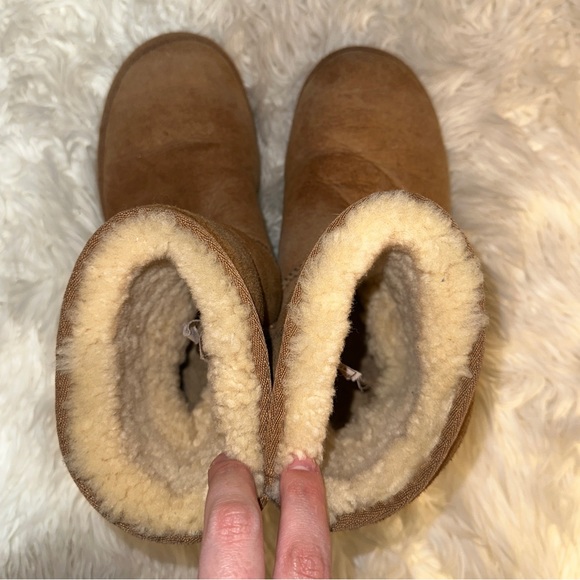 UGG | Classic Short Chestnut Suede Sheepskin Fur Lined Boots 5285 - Picture 6 of 14